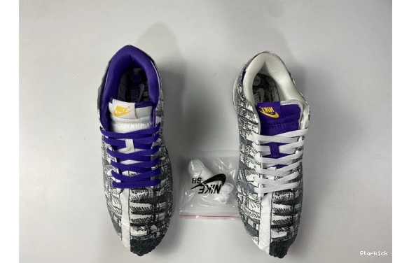 DJ4636-100 Nike the Low Dunk School Old Flip 0831